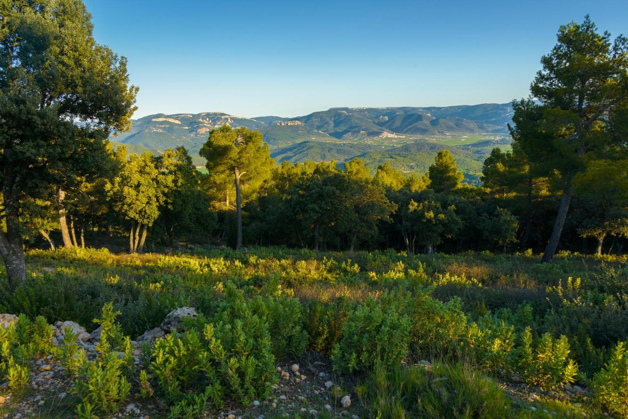 Torre Del Marques Hotel Spa & Winery - Small Luxury Hotels Monroyo Kültér fotó